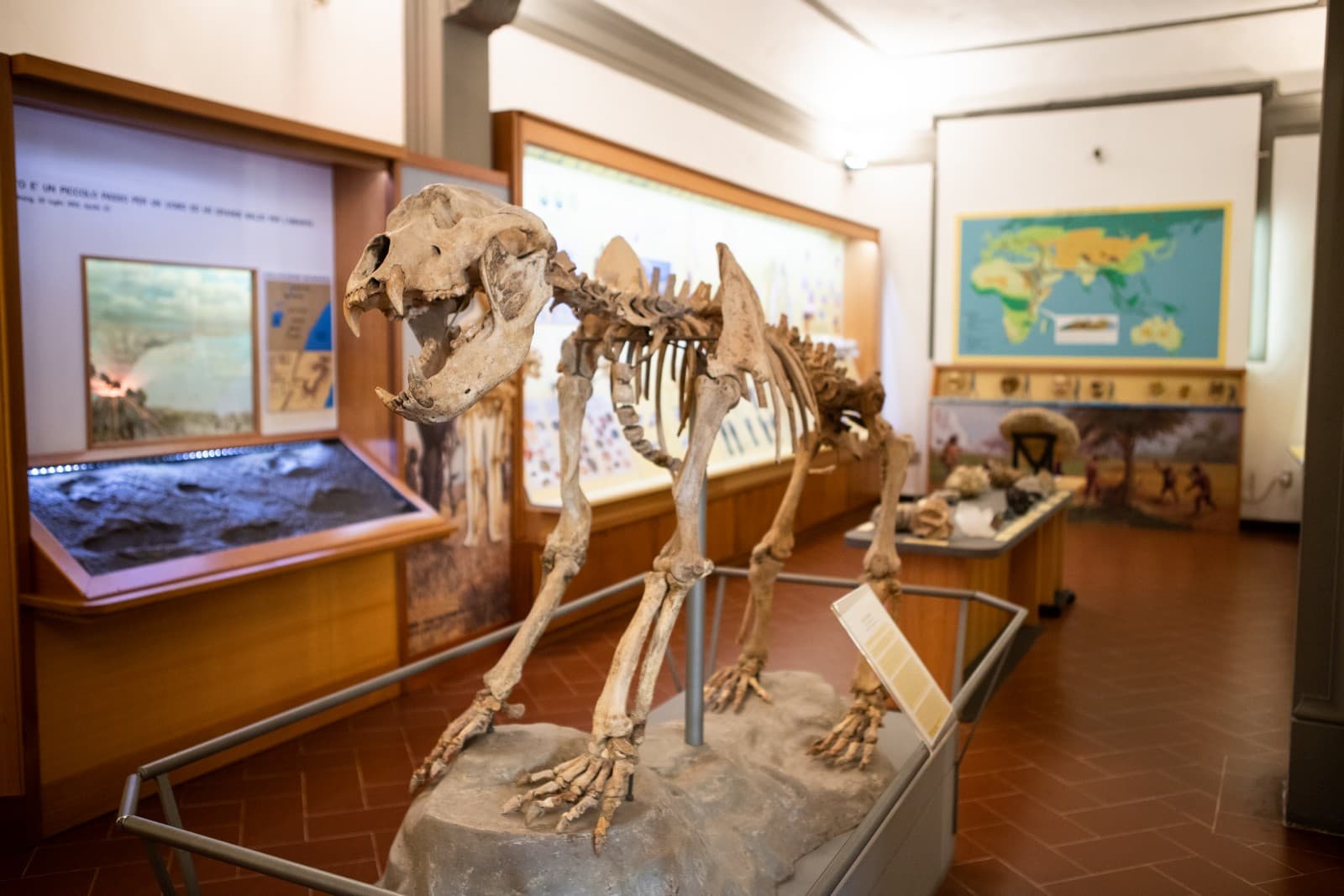 museo-paleontologia-empoli