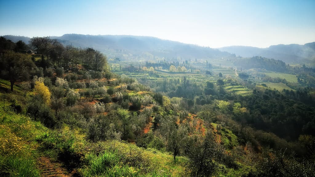 greve-in-chianti-lamole