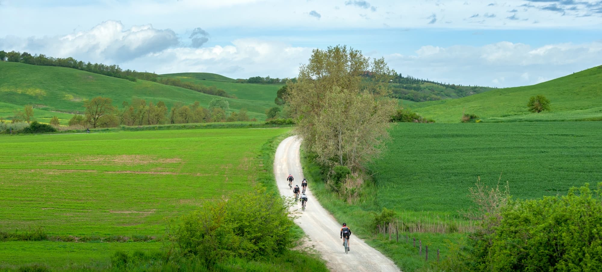in bici sulle strade sterrate delle Terre di Siena e della Val d'Orcia
