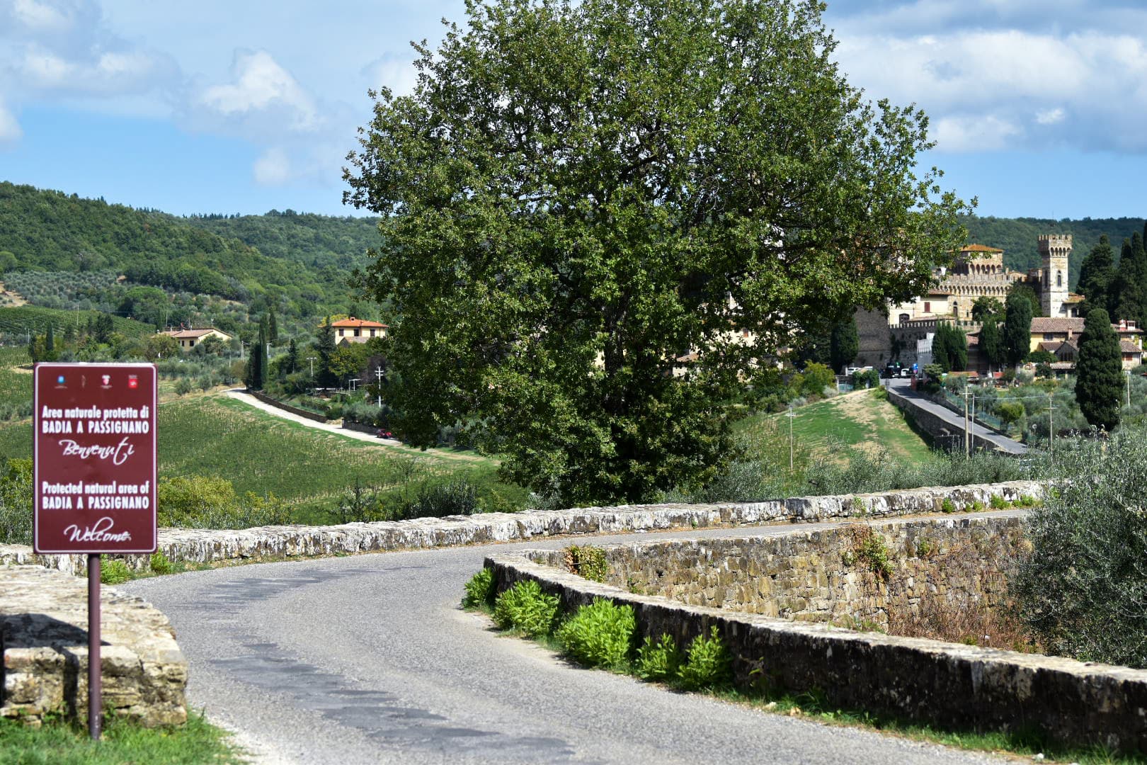 Views of the Abbey of Passignano