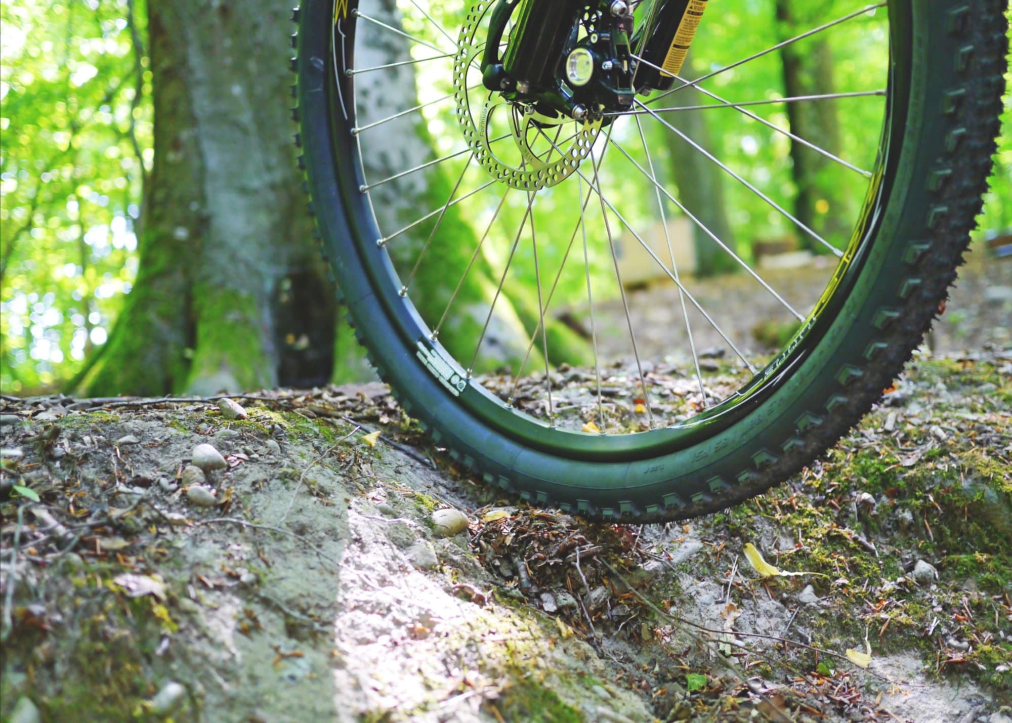 VTT