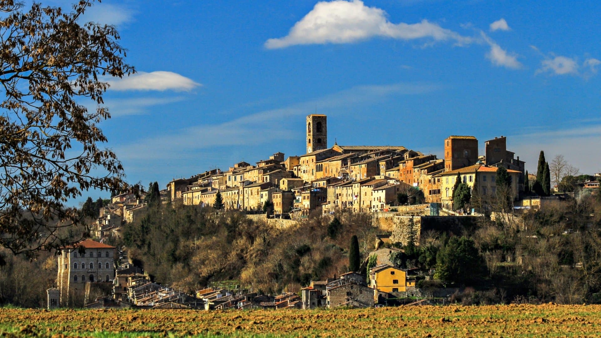 Da Colle Val d'Elsa a San Gimignano in bici