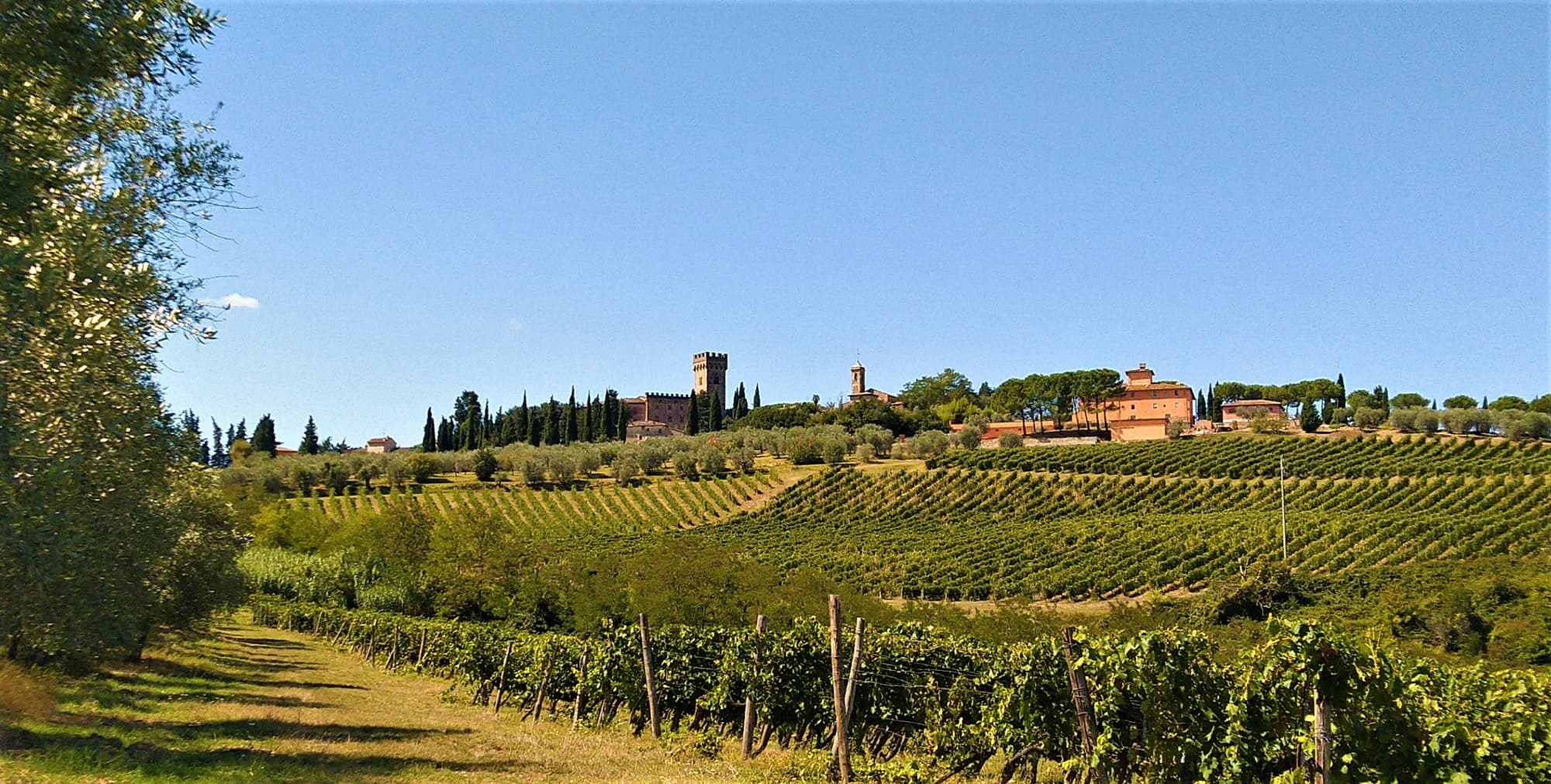 Colline fiorentine