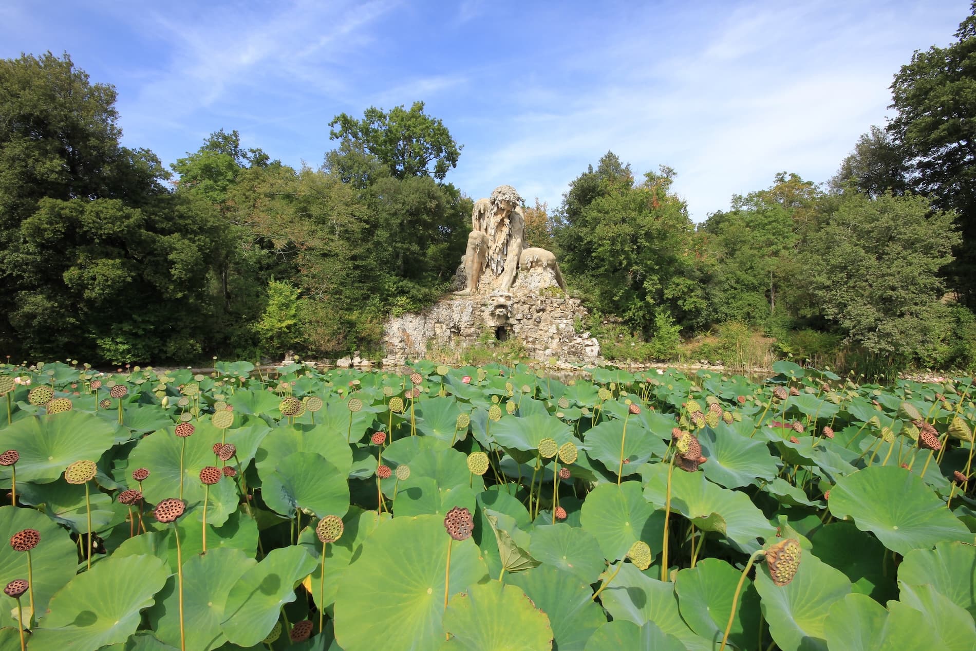 La majestuosa estatua de piedra del Coloso de los Apeninos en la Villa Demidoff, vista a través de un estanque en primer plano, cubierto de hojas y vainas de flor de loto.