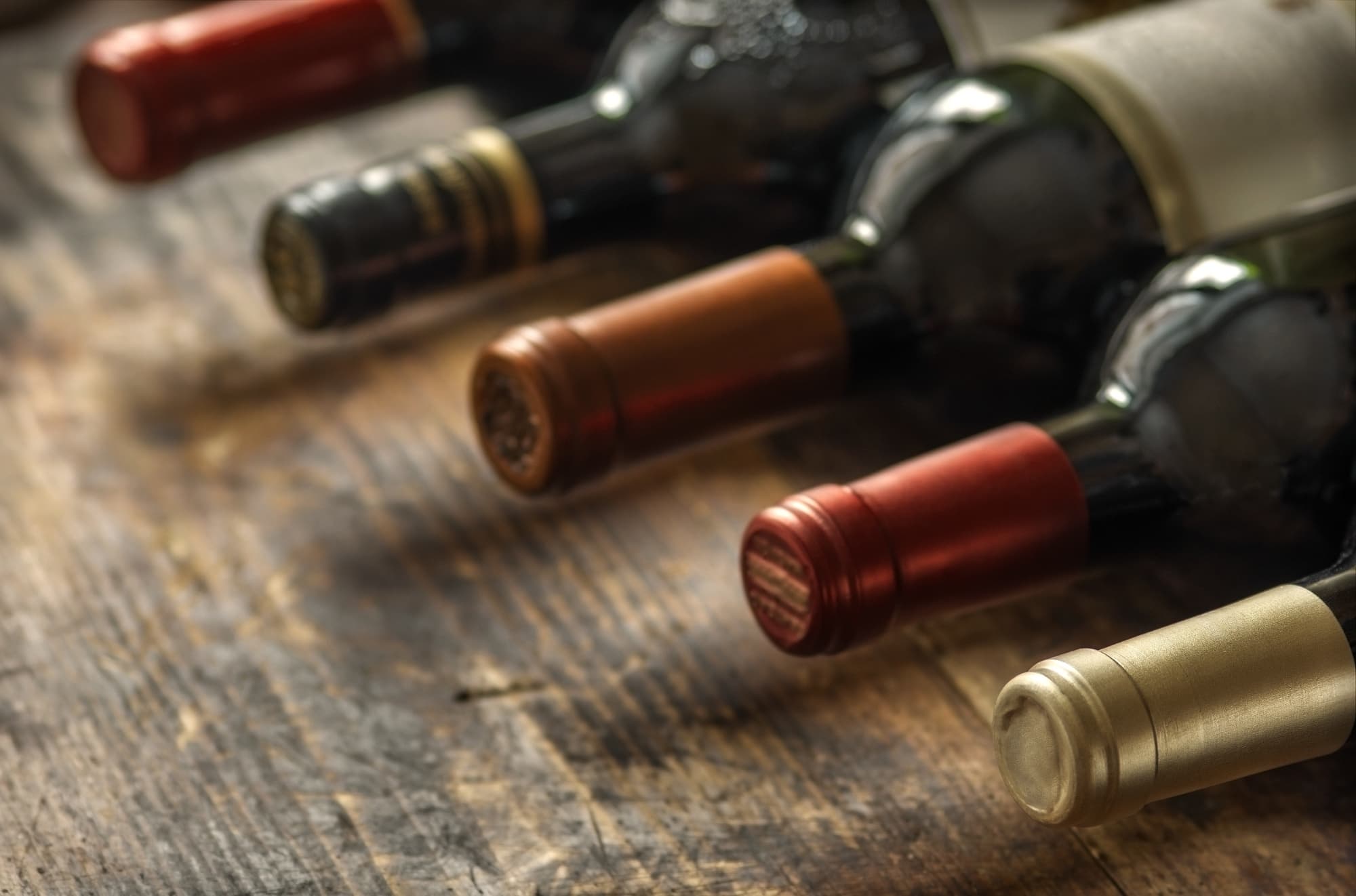 Wine tasting with Sommelier in Florence