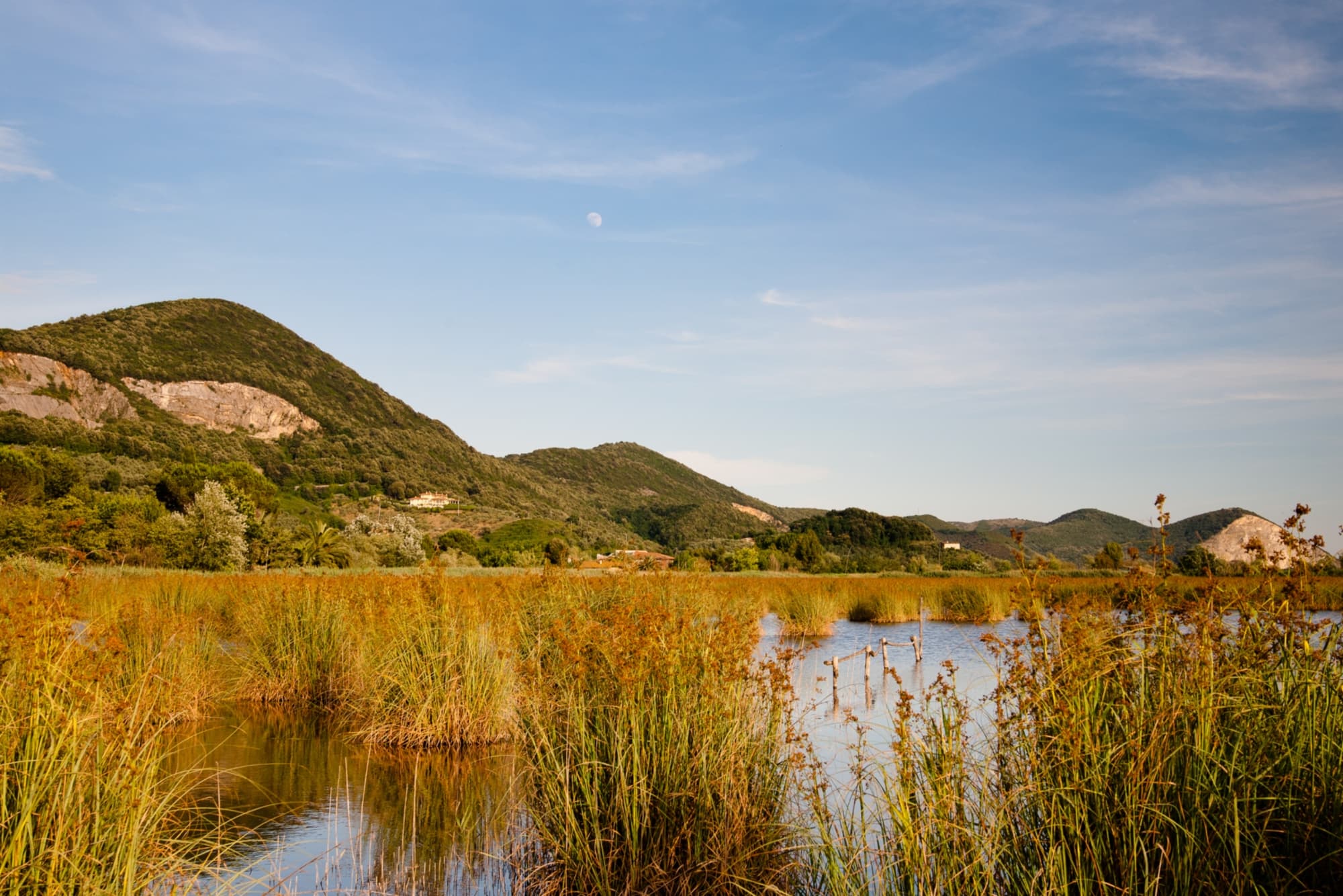 lago-di-massaciuccoli-massarosa