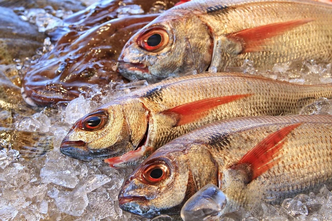 Frischer Fisch auf der Fischauktion