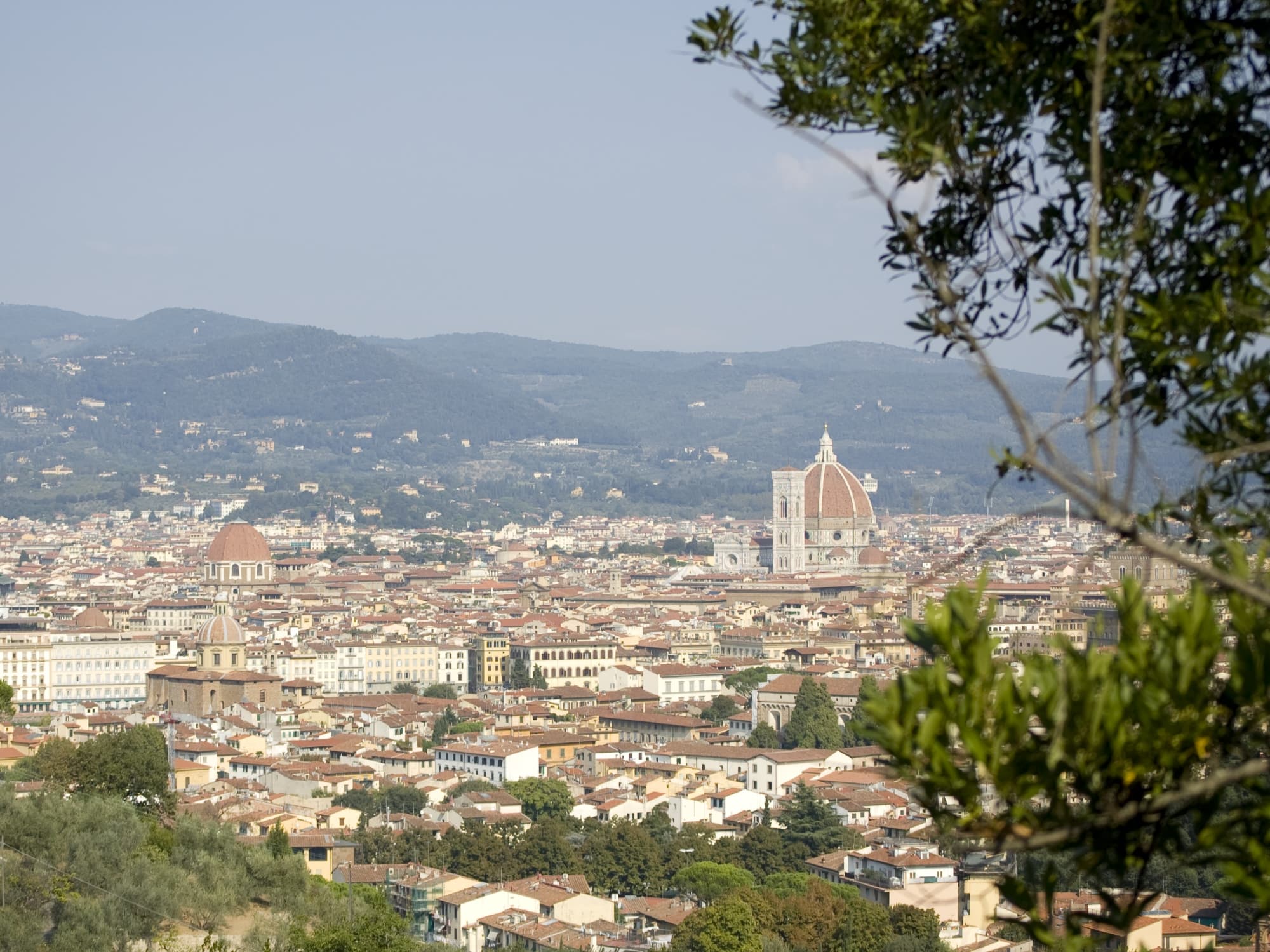 Firenze da Bellosguardo