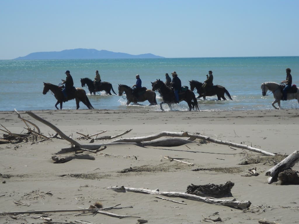 maremma-cavallo-1024x768_wp9_11178.jpg