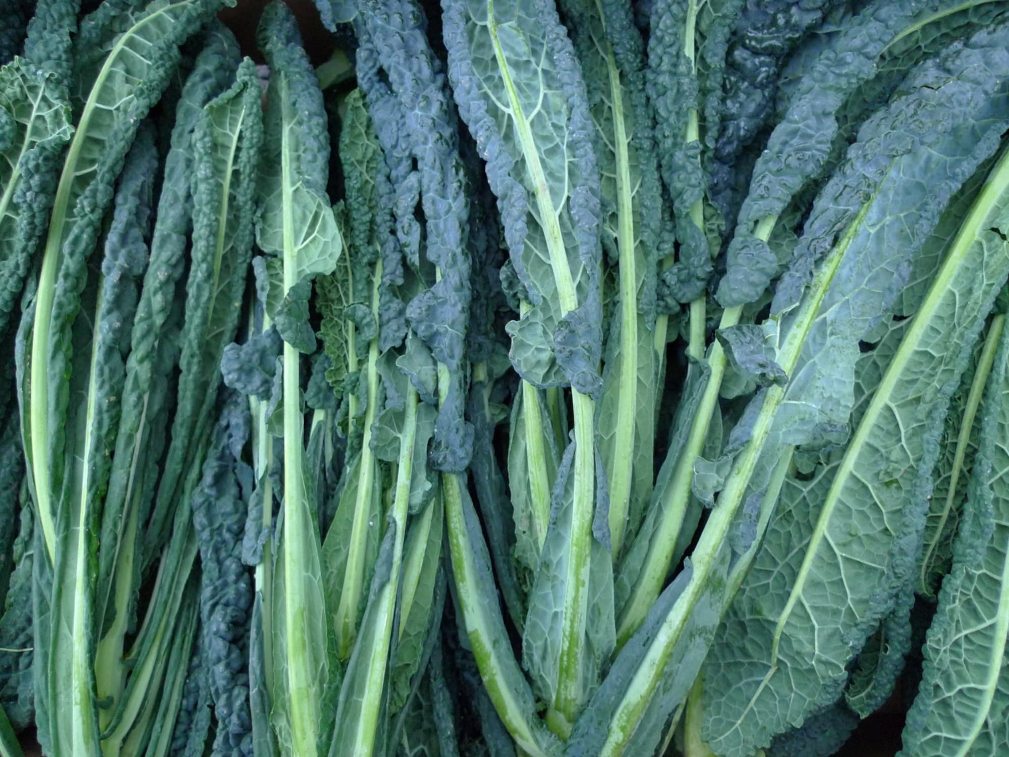 Kale with sausages
