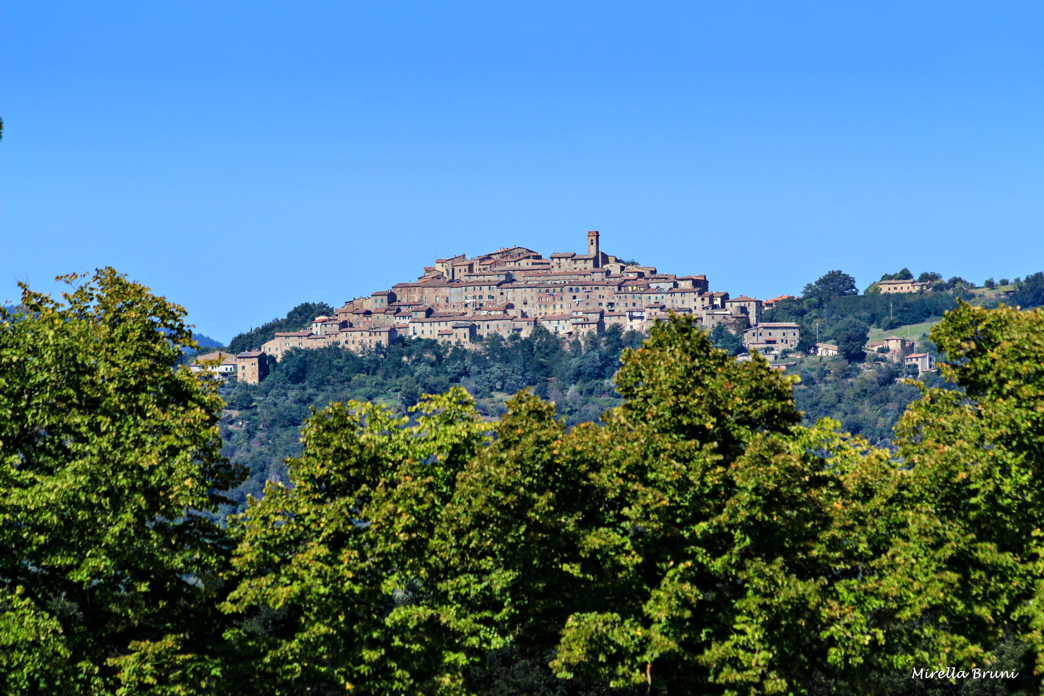 Chiusdino