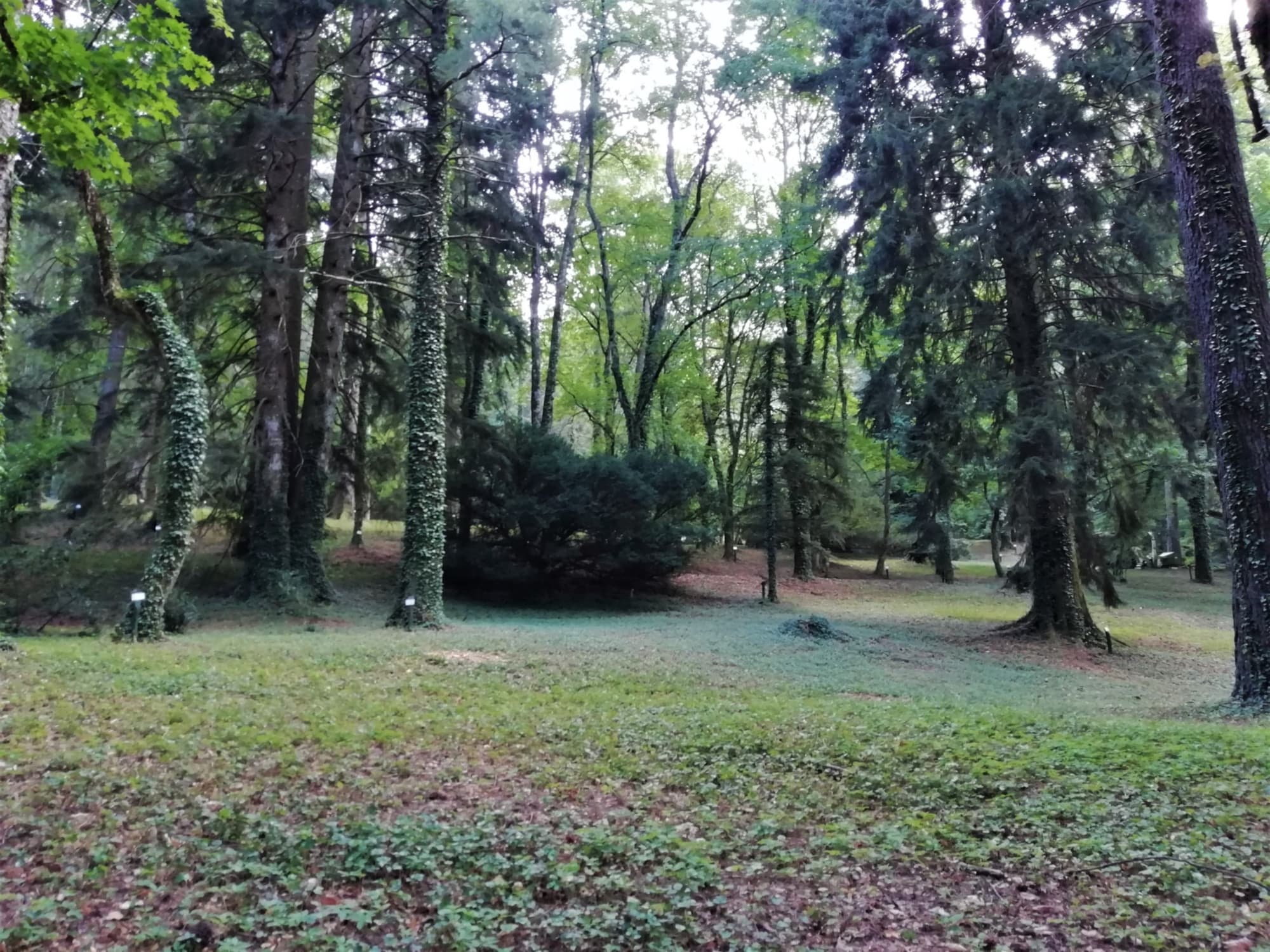 arboreti-sperimentali.jpg