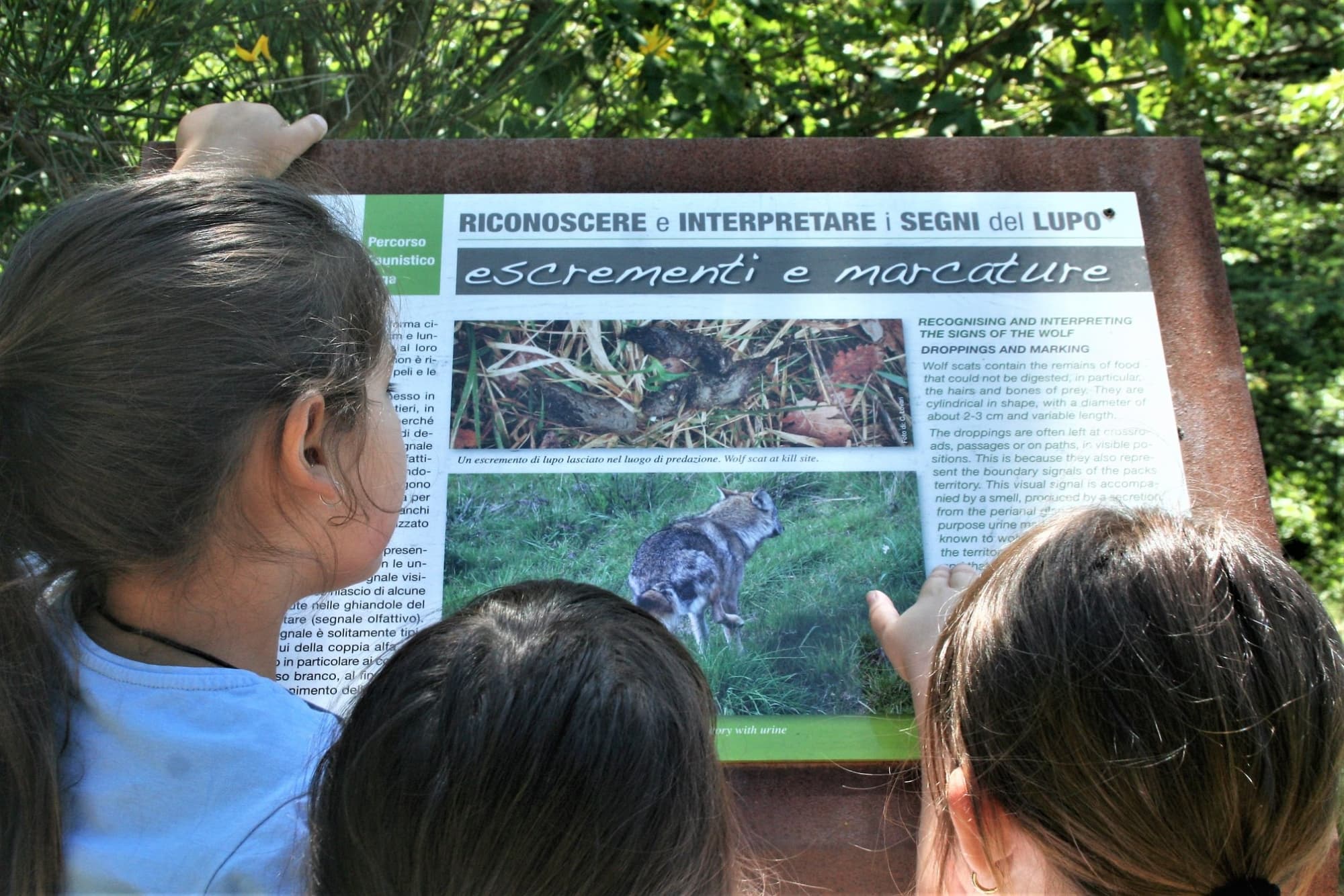 Enfants lisant un panneau lors d’une visite au Sentier du loup à Moggiona