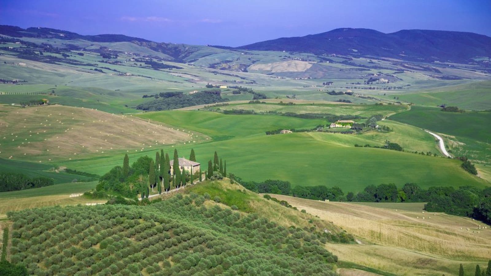 Terre di Siena