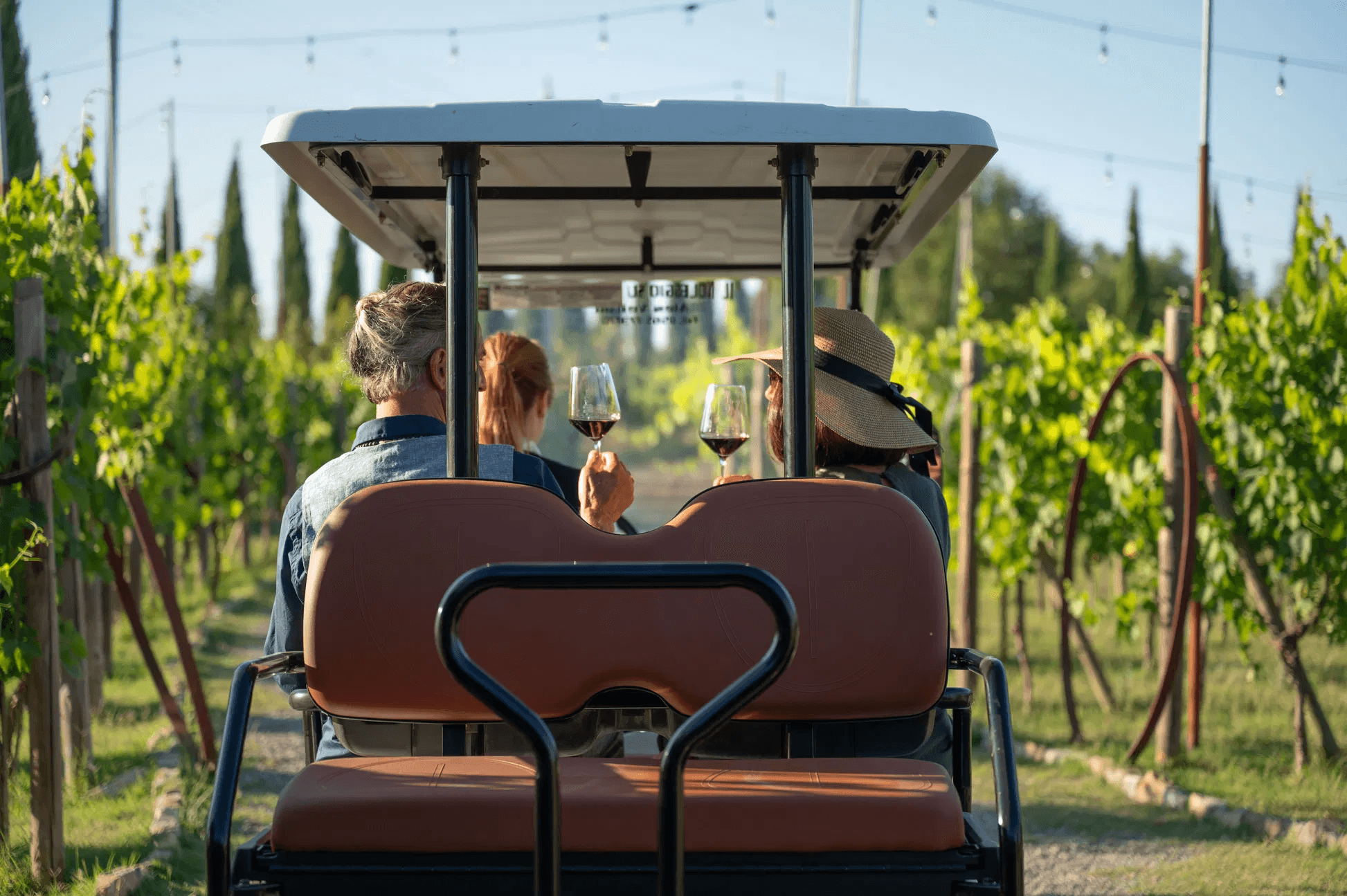 Private tour of the estate with tasting and traditional lunch