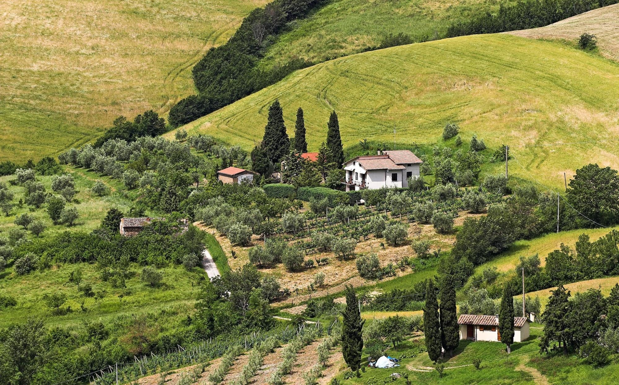 campagna del chianti, san casciano