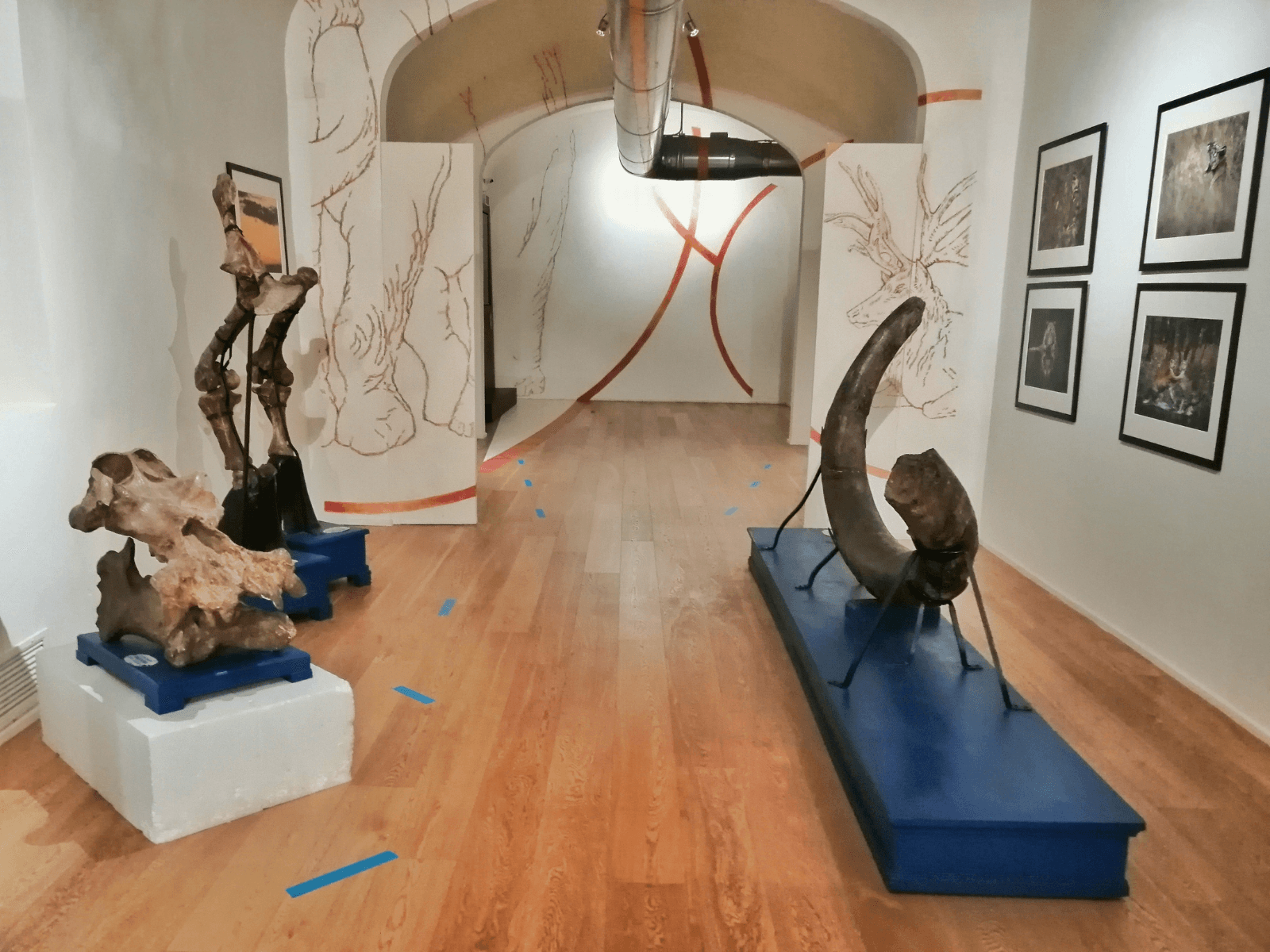 Museo Paleontologico - Montevarchi