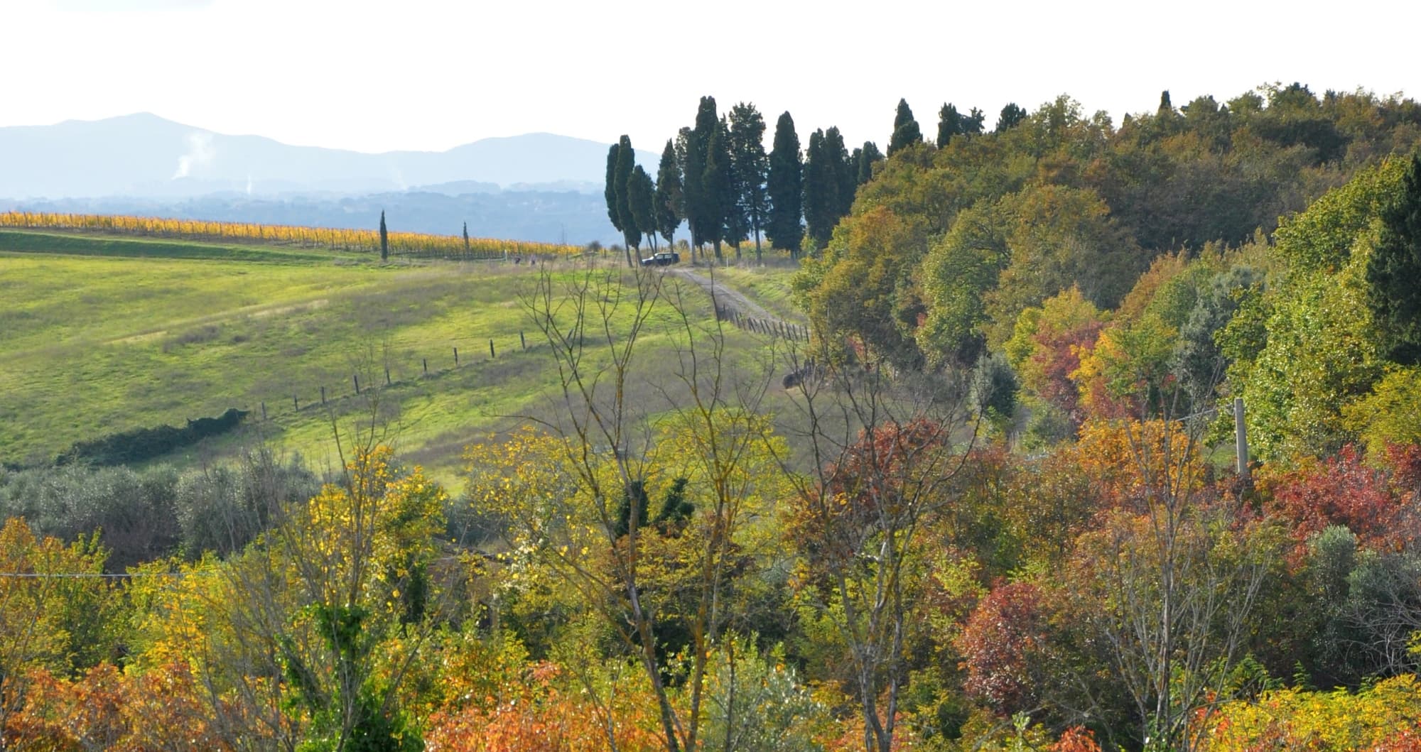 palaia-paesaggio.jpg