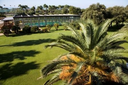 Indoor swimming pool covered by a glass structure set in a large hotel garden with a palm tree in the foreground