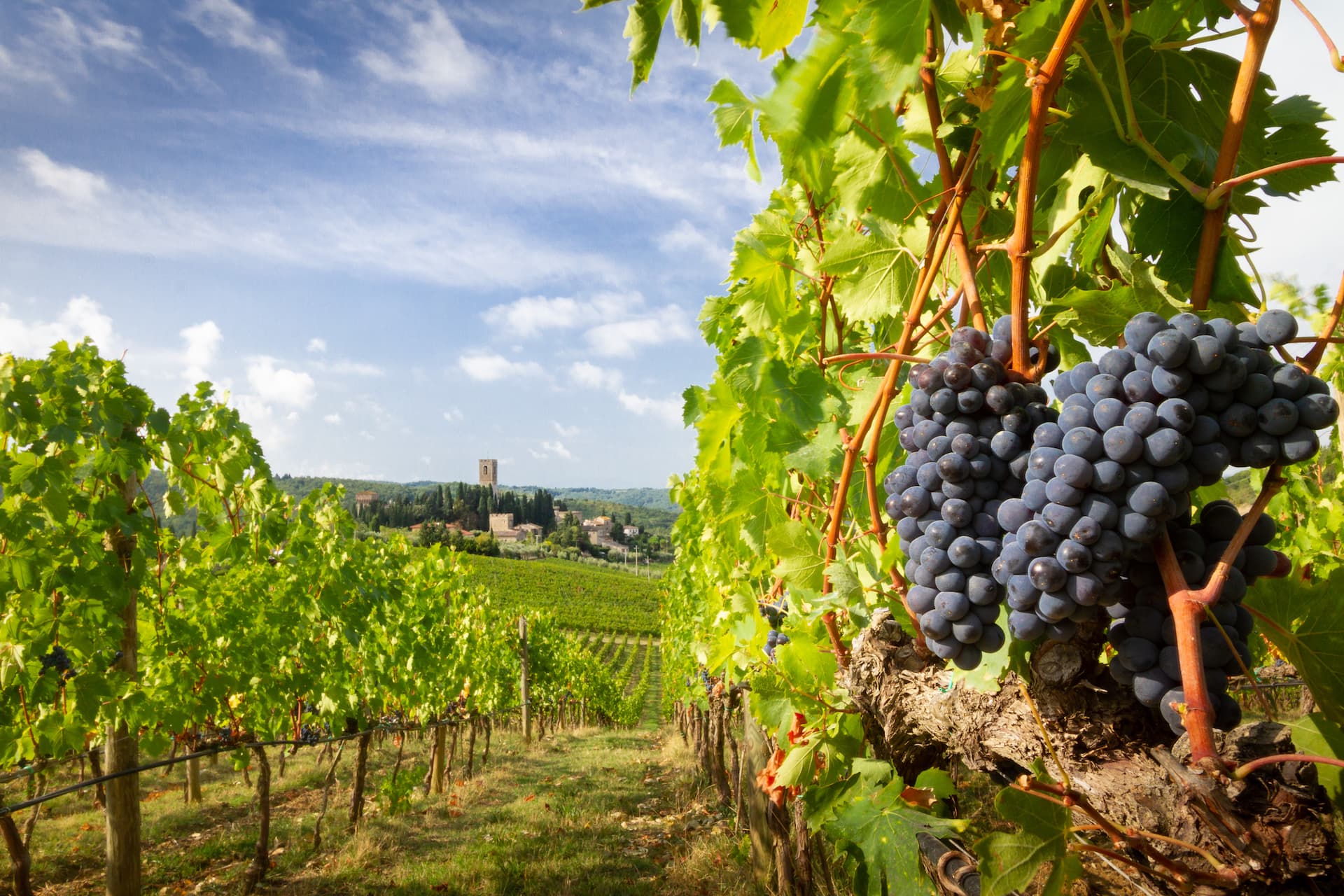 badia-a-passignano-chianti-toscana-shutterstock_1175492053.jpg