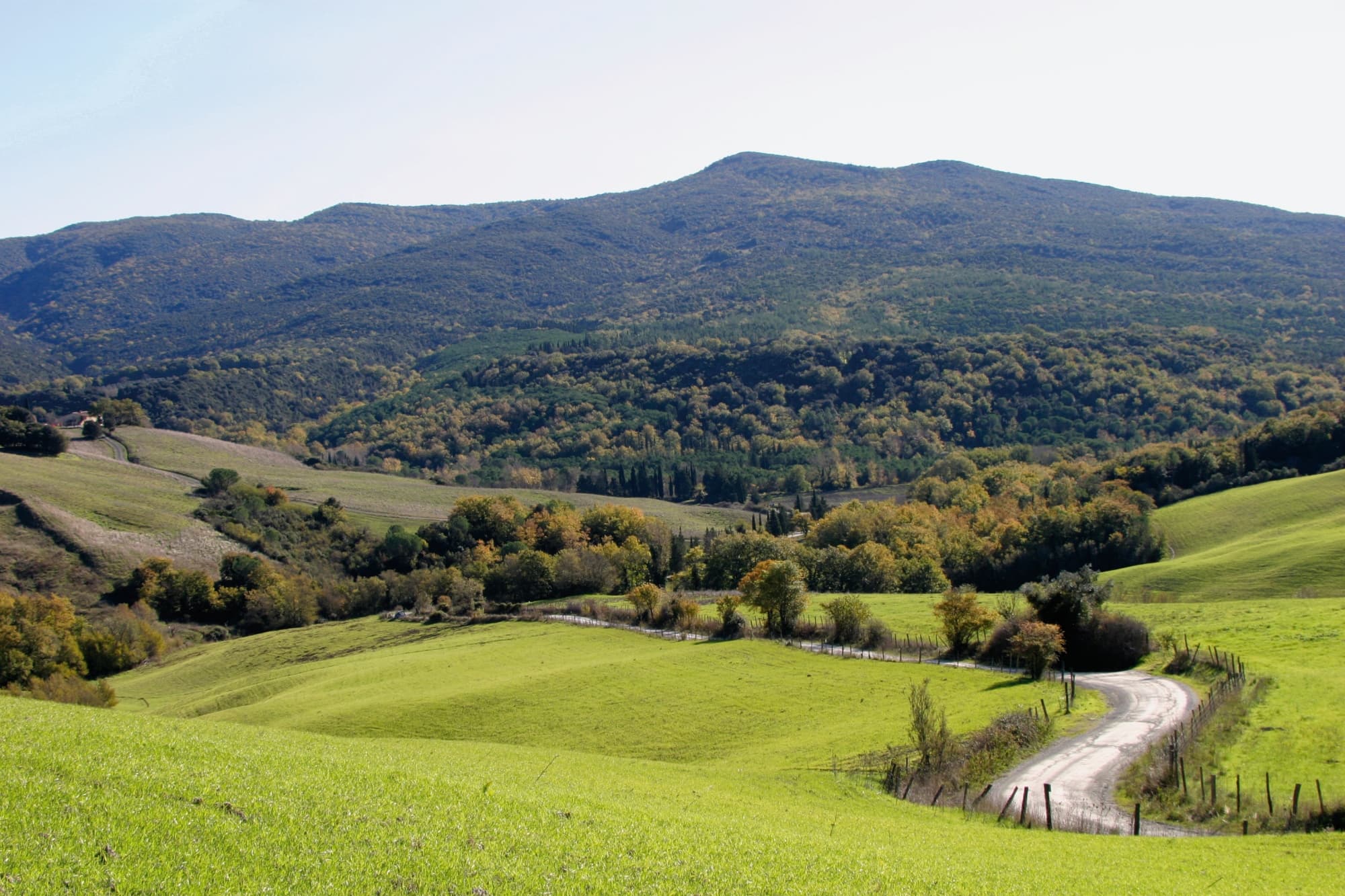Das Naturschutzgebiet Berignone 