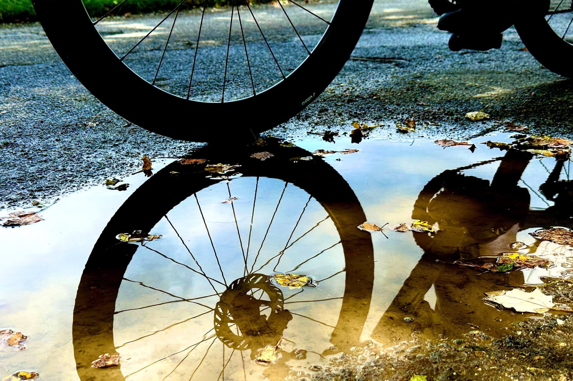 Cycling