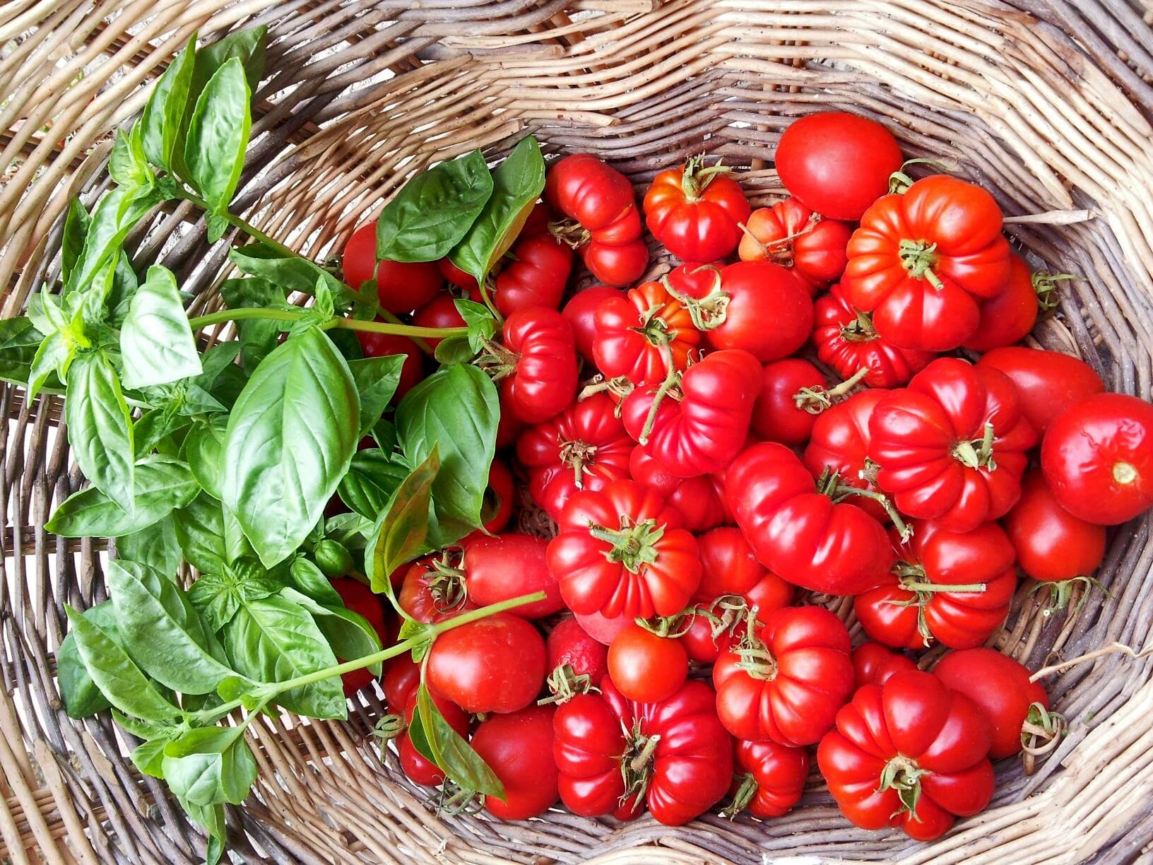 La ricetta del baccalà alla fiorentina