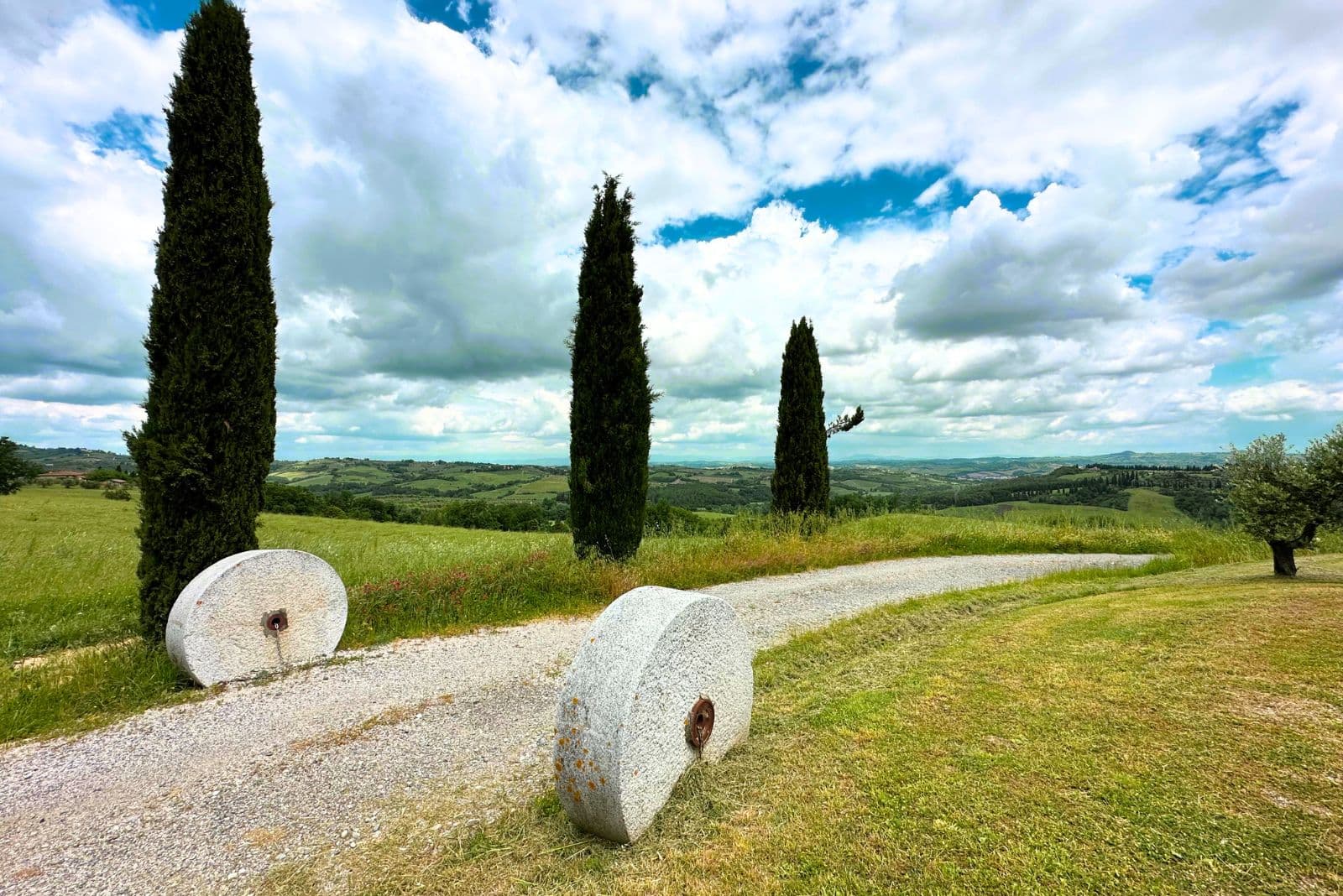 Cipressi e colline della campagna tra Gambassi Terme e San Gimignano