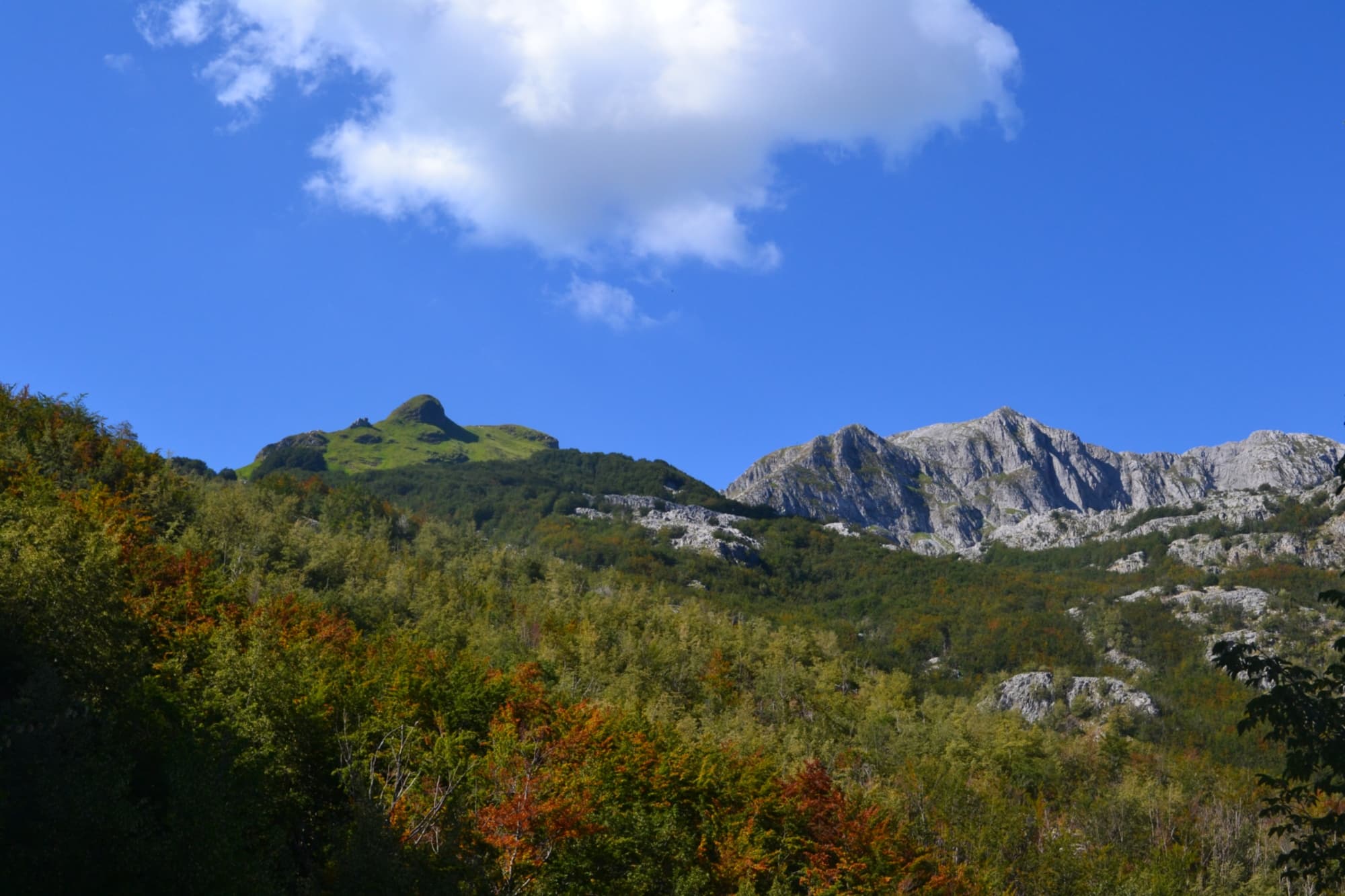 Panorama der Panie-Gruppe
