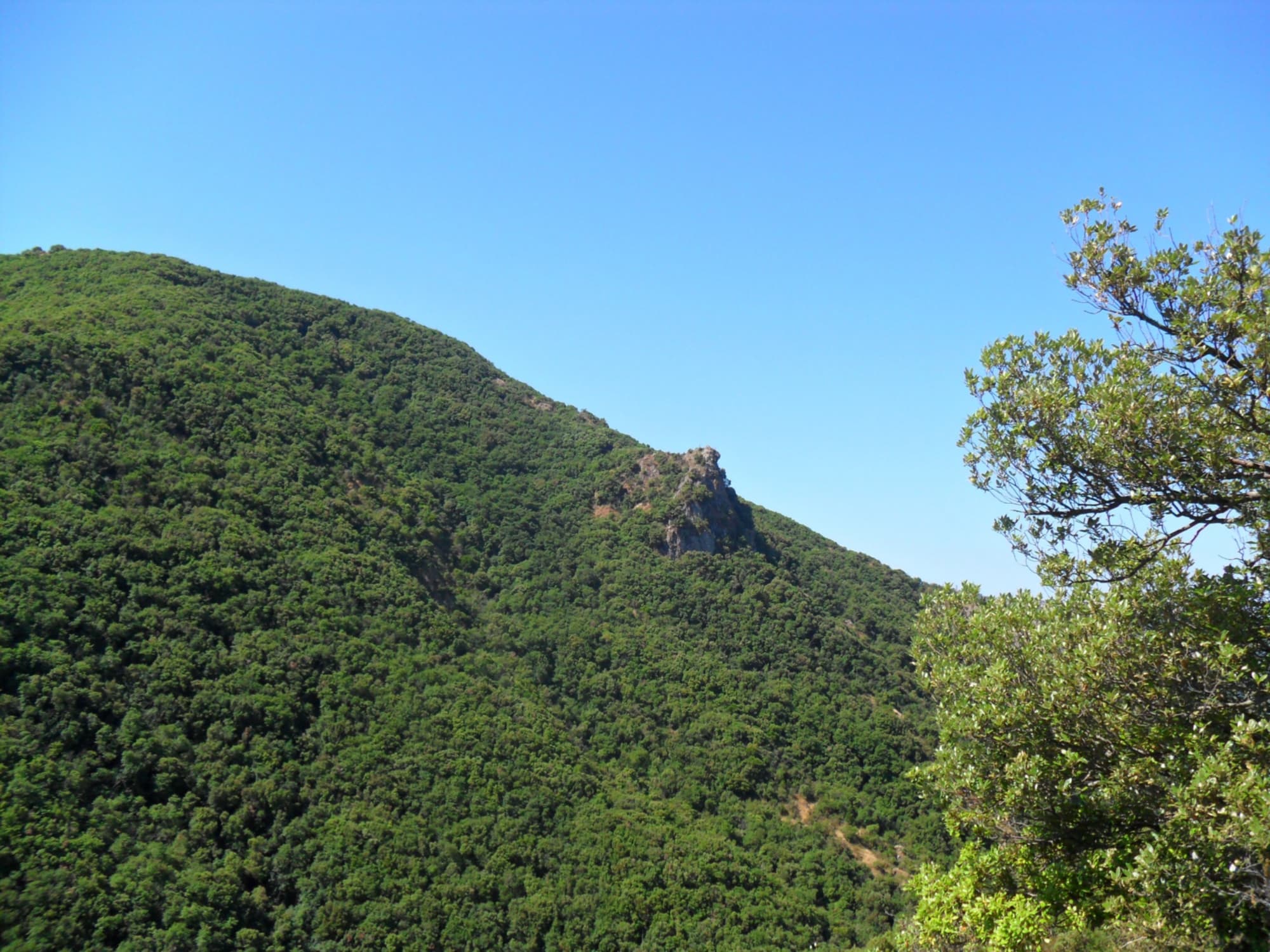 Una vista de la Reserva Natural Regional de Montenero con sus colinas ricas en vegetación.
