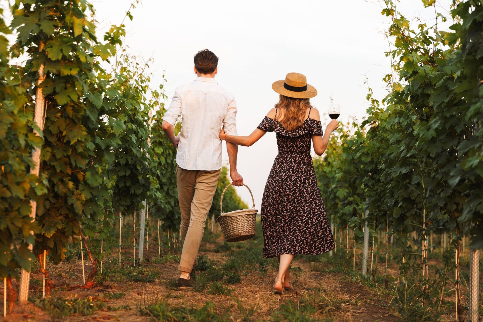 Tuscan picnic among the vineyards of Montepulciano