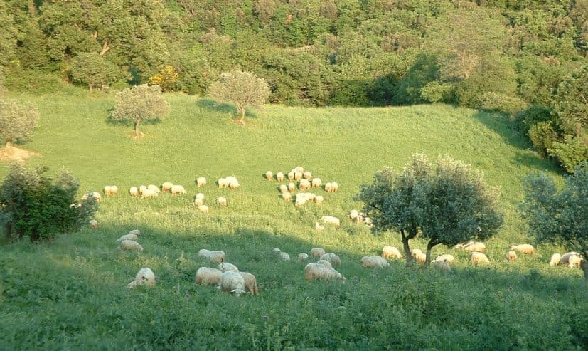 La località di Paterno, nel comune di Monterotondo Marittimo
