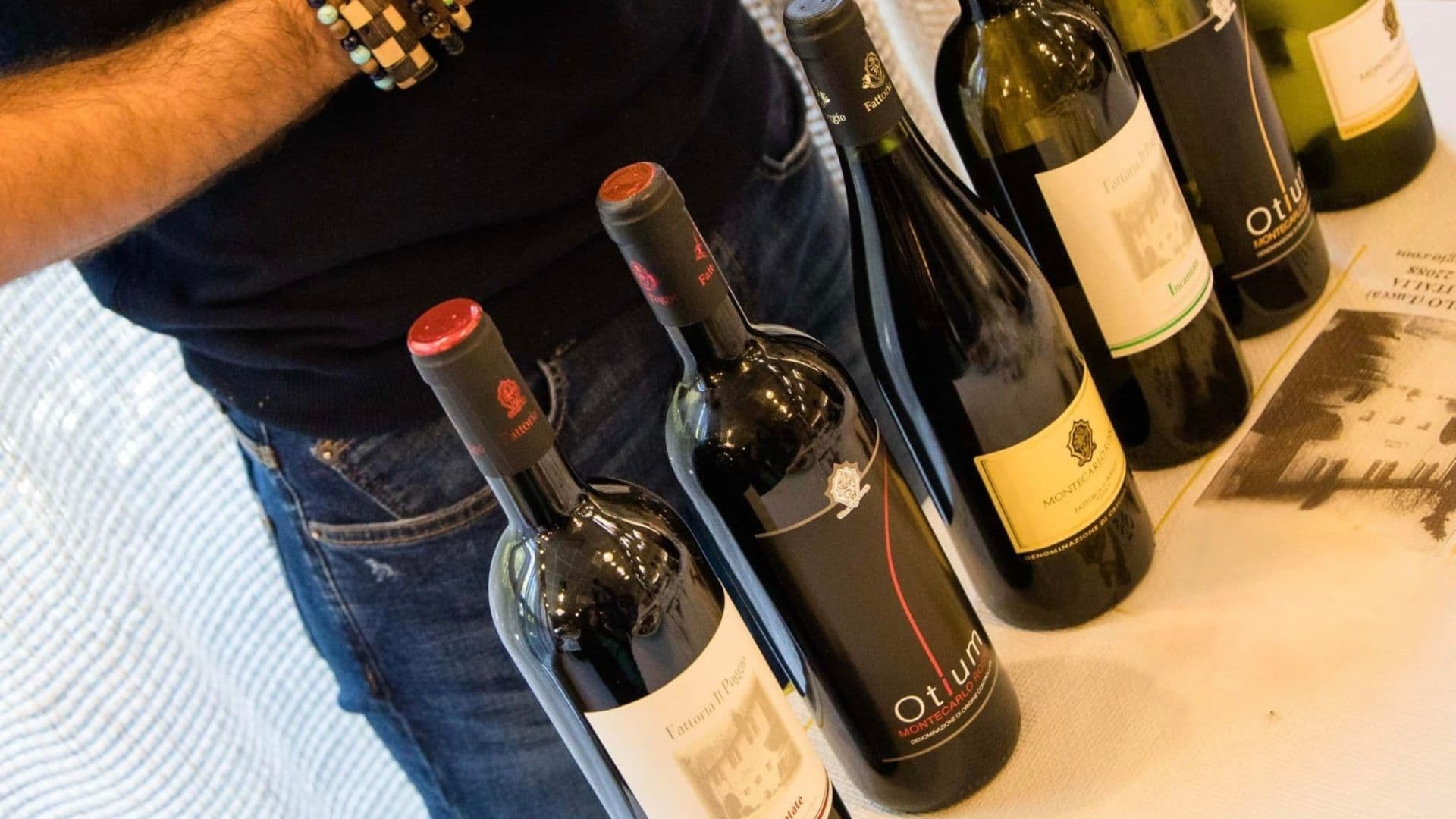 Wine Experience in azienda vinicola