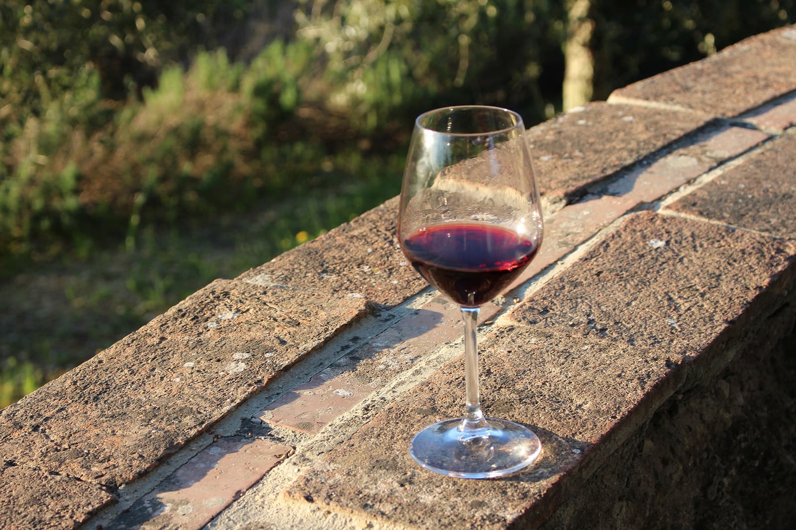 La Strada del Vino Terre di Arezzo