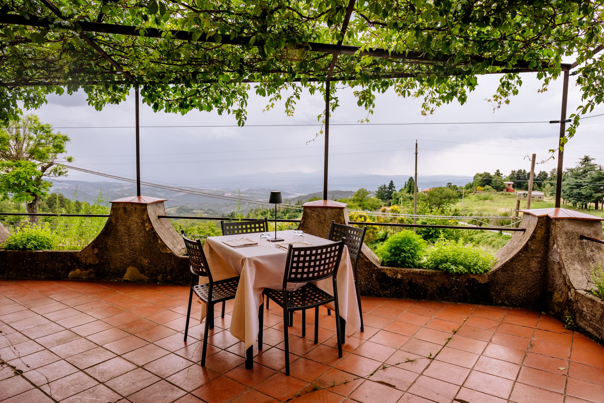 A terrace with a table and chairs under a green pergola, overlooking the vineyards.