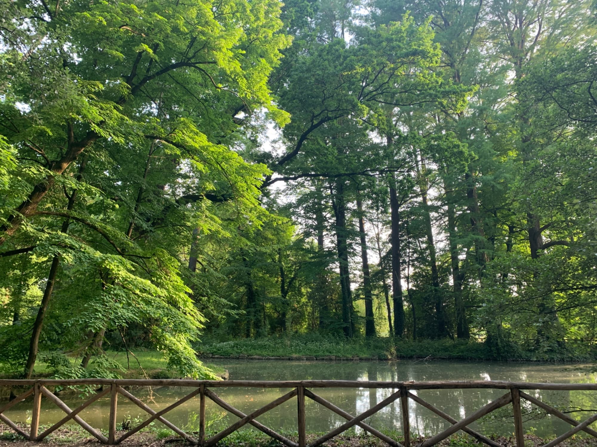 Parque del Neto