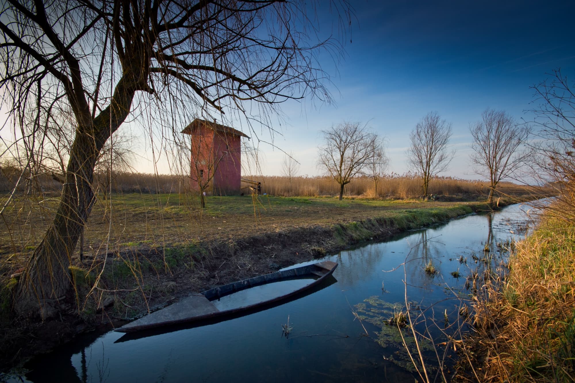 Padule di Fucecchio (Fucecchio Marsh)