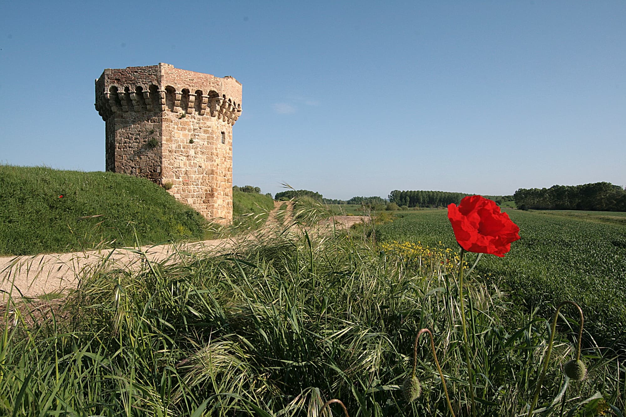 Tower of Beccati Questo in Chiusi