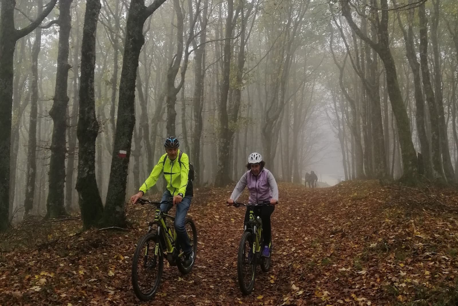 Foresta della lama santuario della verna