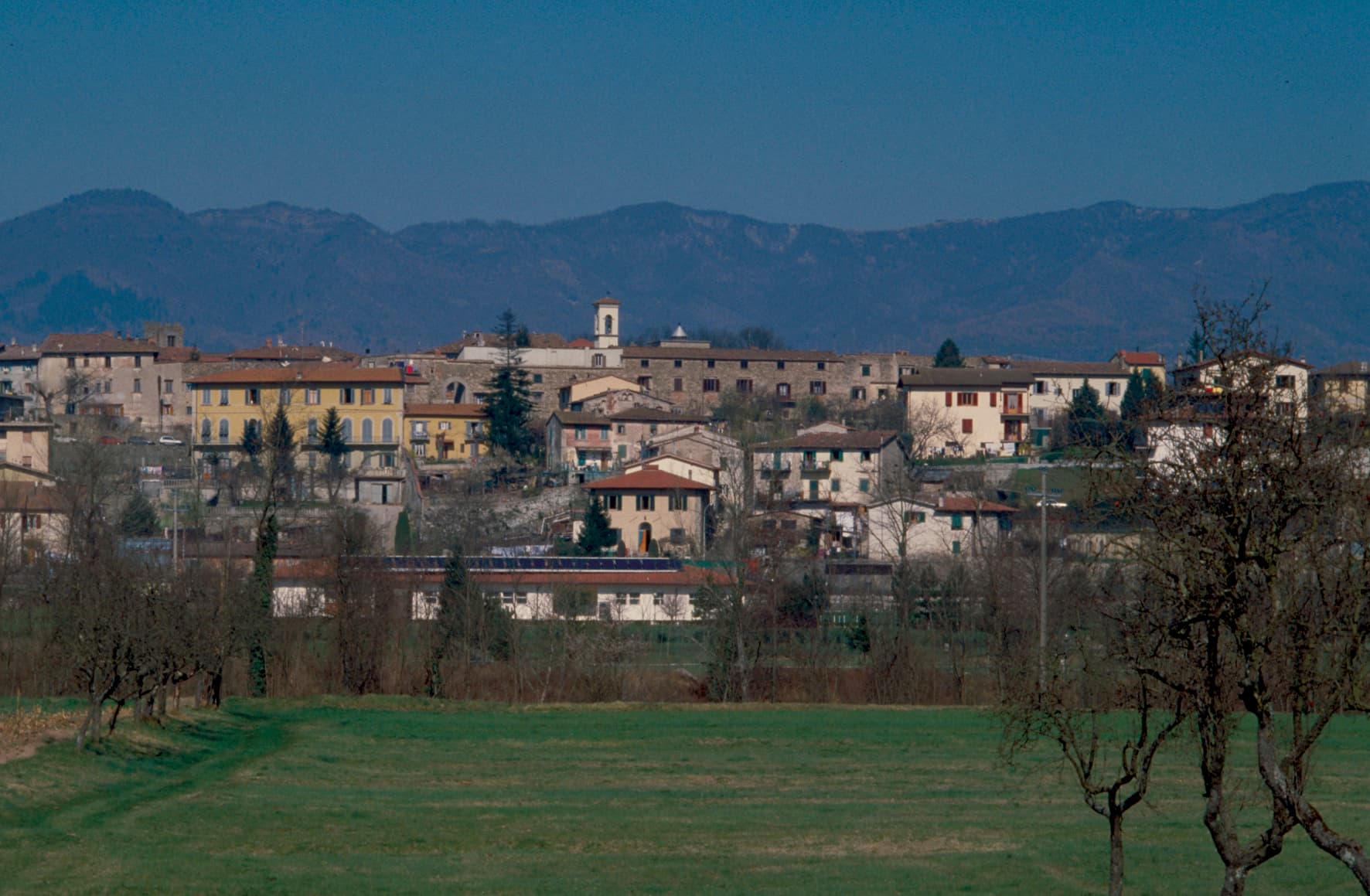 Vicchio