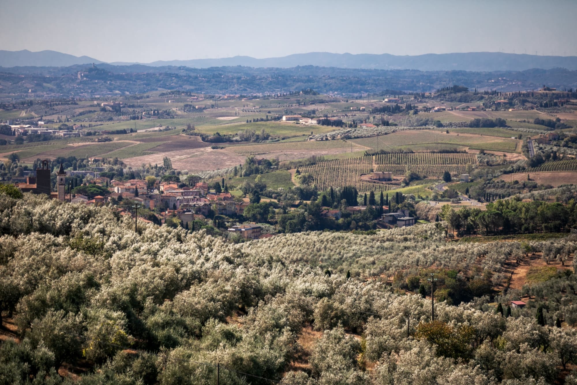 Le colline di Vinci