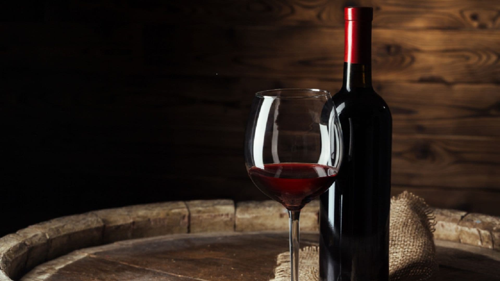 Wine Experience in azienda vinicola