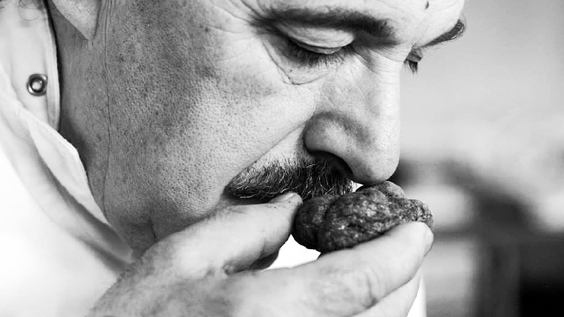 truffle-hunting-tour-tartufo-cooking-food-lovers-tuscany