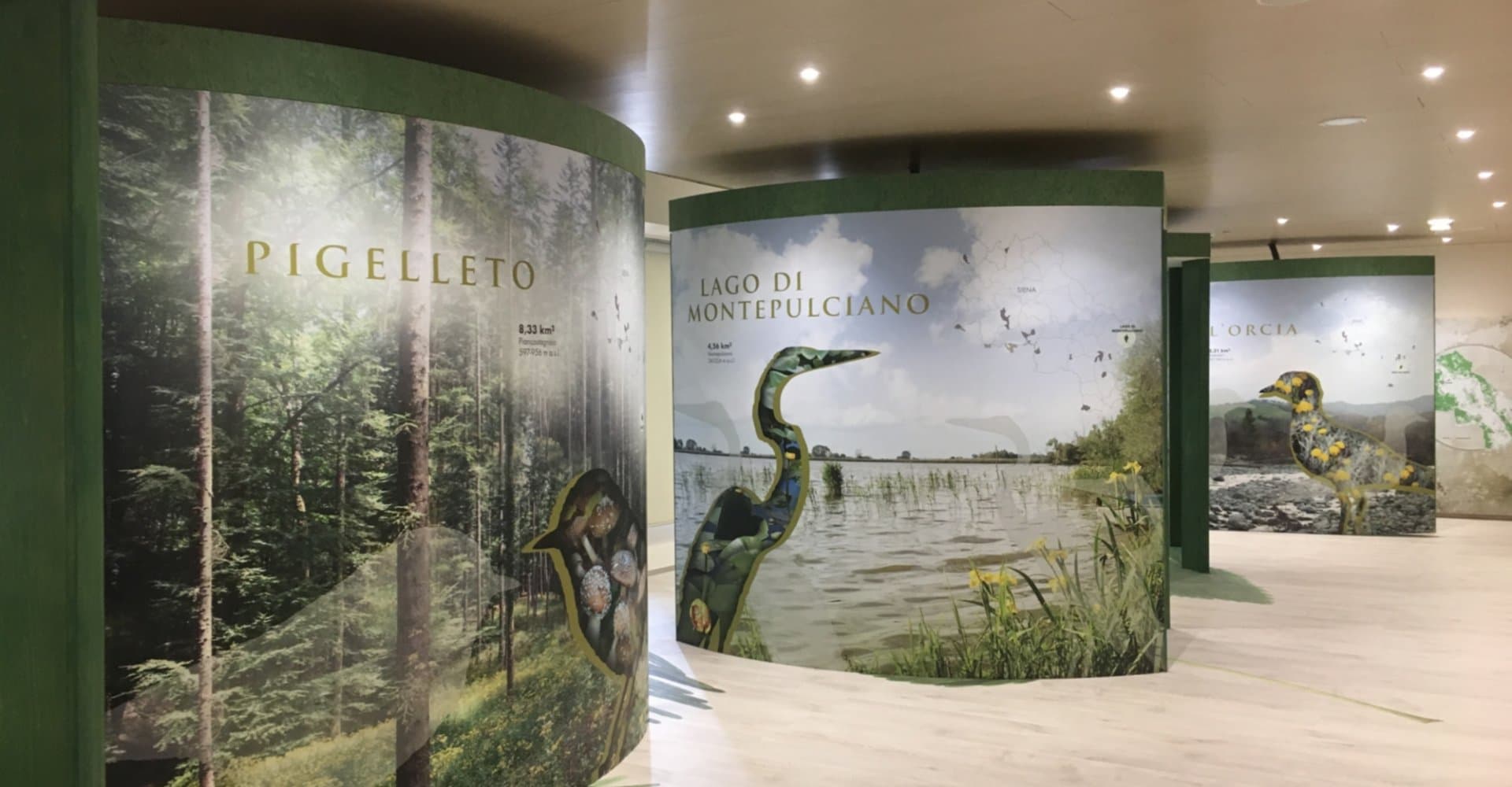 Billboards advertising the Monticiano Biodiversity Museum