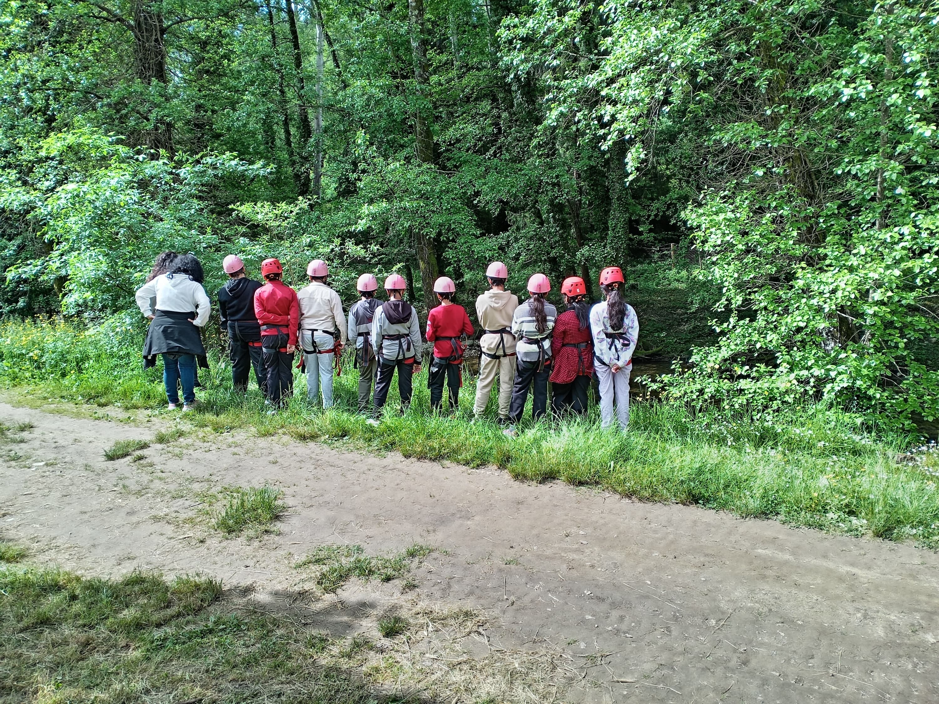 Forest adventure team building in Stia for groups