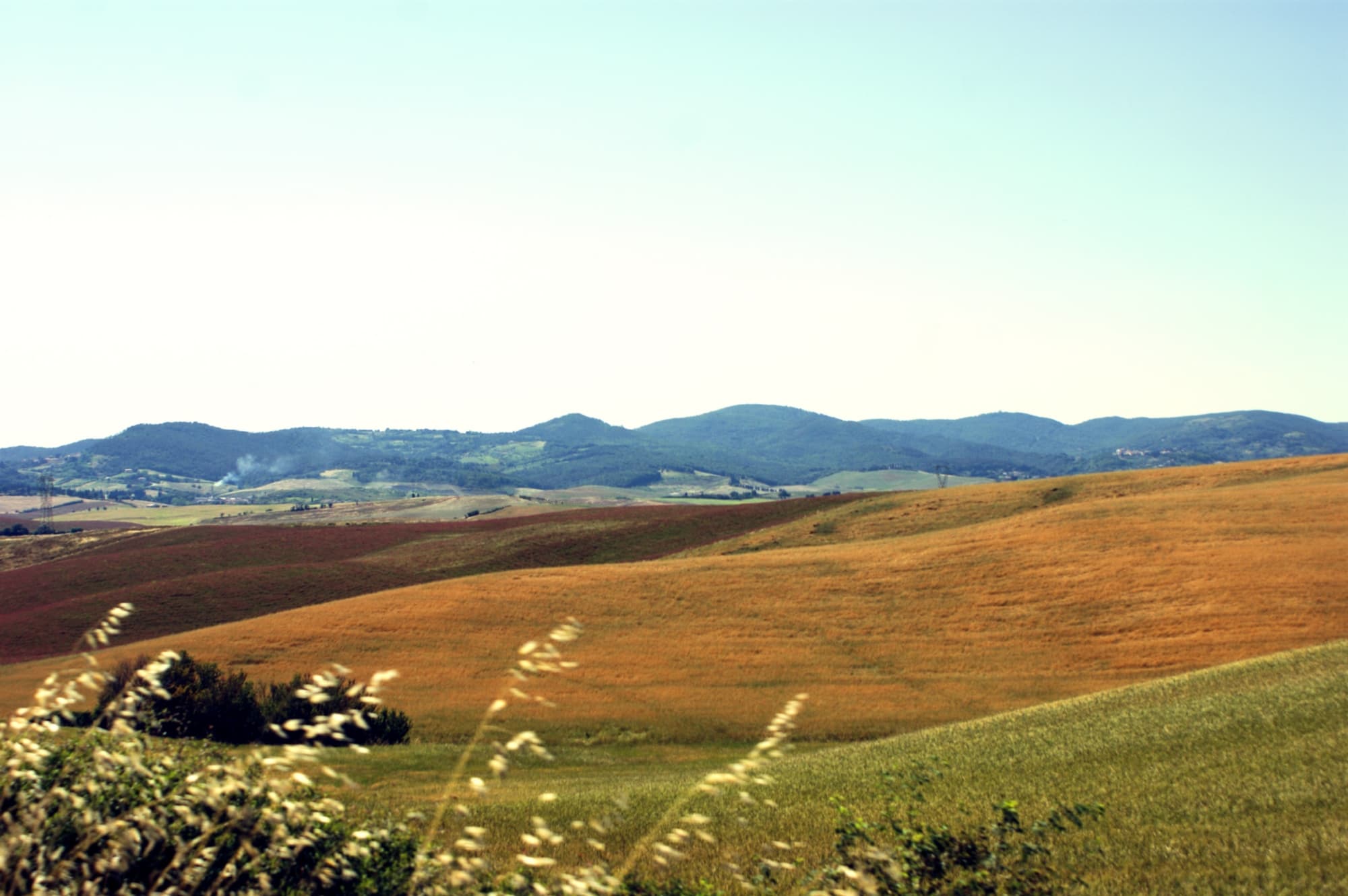 I colori della Maremma