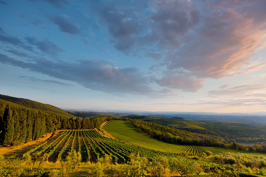 chianti-classico-view-from-brolio