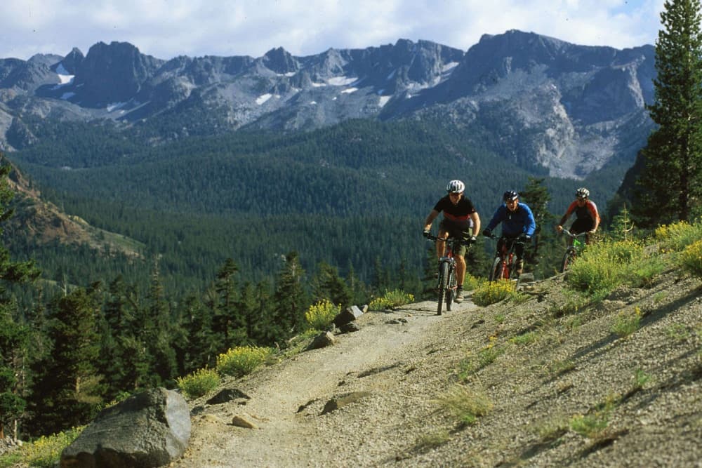 Mountain bike
