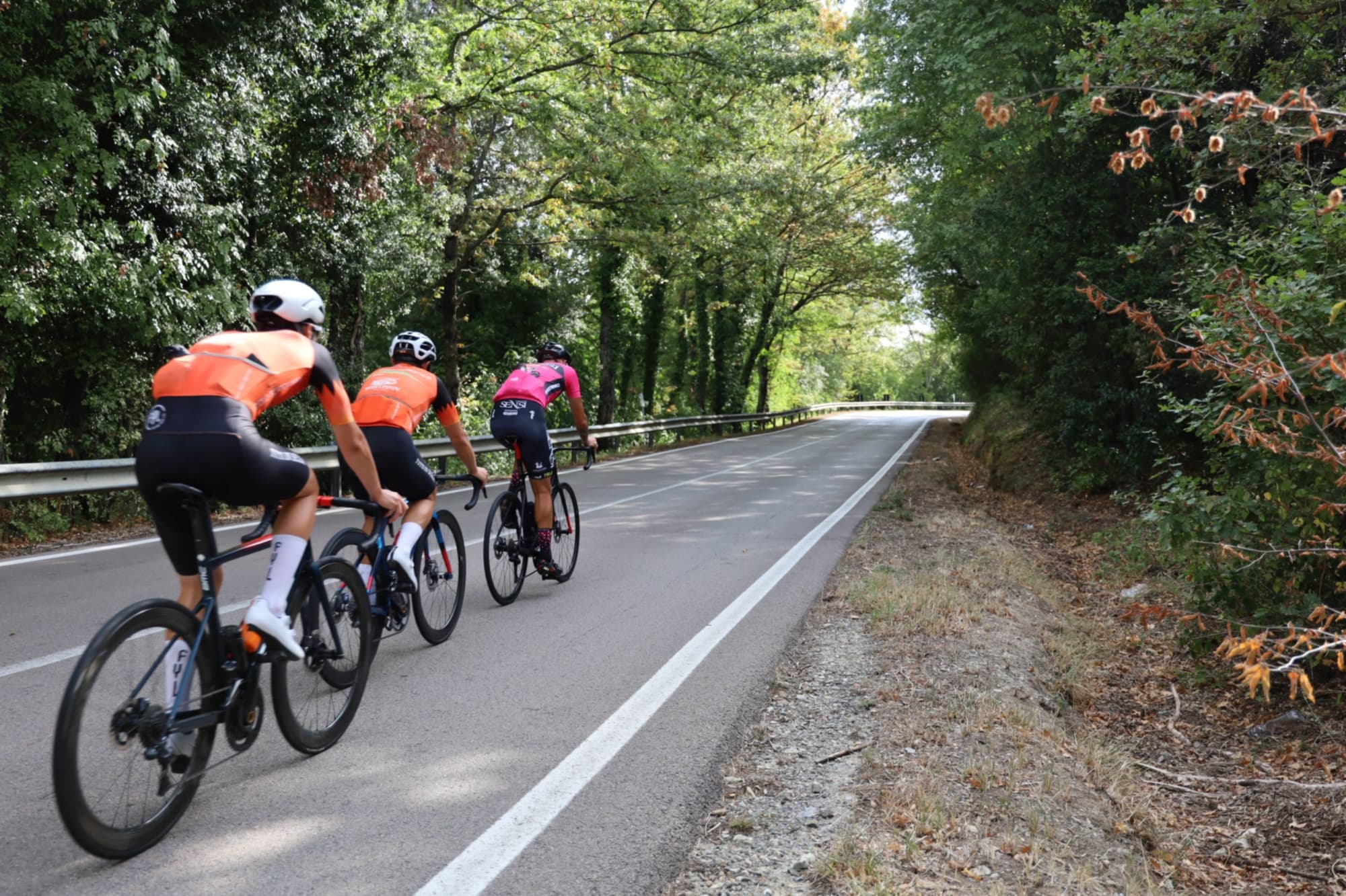 Di qua e di là dalla Valdelsa in bicicletta