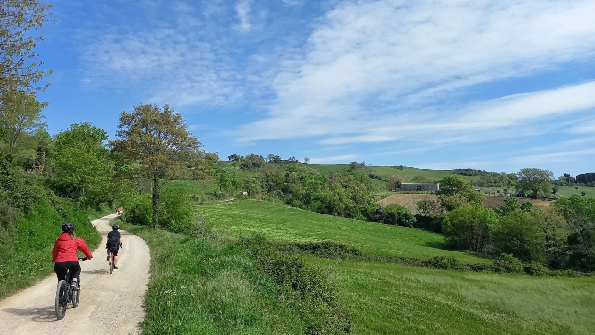 strada sterrata nei pressi di Montepò